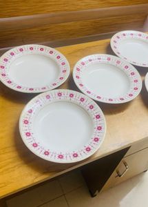 DINNER PLATES