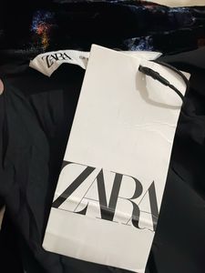 Zara New With Tag Velvet Long Sleeve Dress