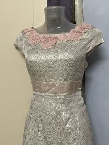 Korean Silk Silver Bodycott One Piece