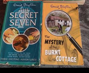 Enid Blyton Books: Secret Seven & Mystery