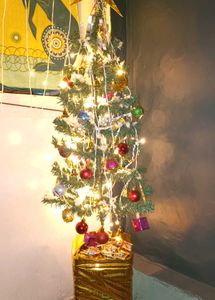 Christmas tree and decoration