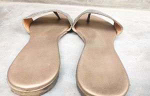 Beautiful Golden Slippers