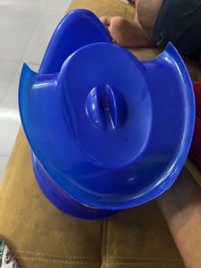 Potty Training Seat