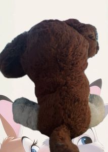 Cute Teddy