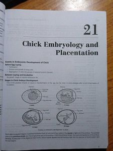 Zoology PG Entrance Exam Guide