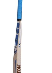 SS WILLOW TON BAT 🏏