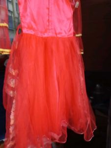 Festive Embroidered Dress