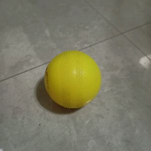 ARRZOO RUBBERS RICKY Wind Ball Cricket Training