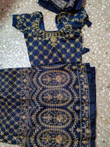 Embroidered Lehenga Choli Set