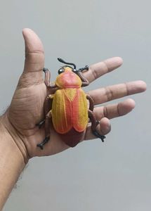 Toy Bugs Set 6pieces.