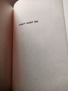 Novel By David Goggins