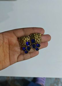 Beautiful Blue Earrings