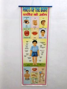 Learning Chart For Kids