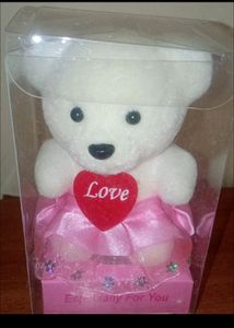 Teddy bear