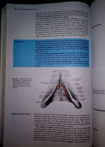Cunningham Manual Of Practical Anatomy Volume 2, Thorax &amp; Abdomen