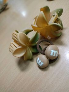 Claw Clip And Rubber Band