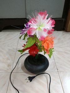 Beautiful Showpiece