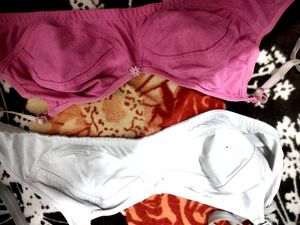 DAILY WEAR BRAS