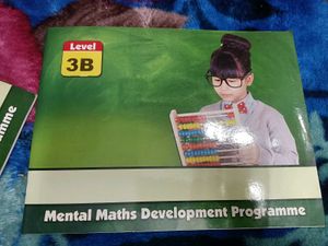 Mental Maths Development Programme