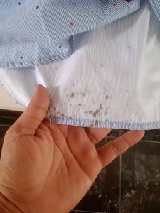 Pin Stripes Buttondown Shirt