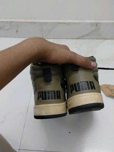 Puma mens Vegas sneakers