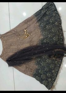 Pure Georgette Lucknowi Lehenga
