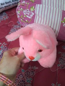 Stuffed Animal Bundle