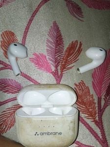 Ambrane Earbuds - Used