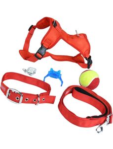 Dog Harness