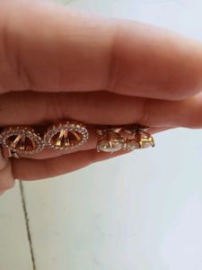 Exquisite Earrings