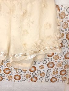 Gold Casual Briefs (Girls)