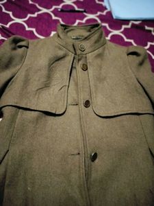 Brown Coat