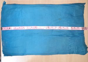 Set Of 2 Blue Colour Pillows
