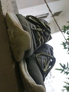 Campus Shoes
