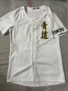 Seido High School Baseball Jersey(Ace of Diamond)