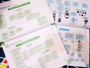 CBSE Class10- Science &amp; SocialScience 12PYQs