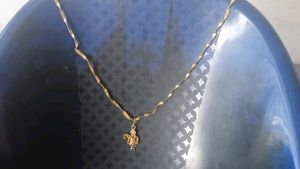 Golden Chain - With Bihari Ji.