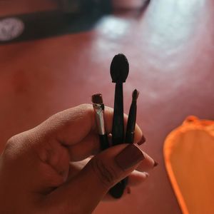 22 Makeup Brushes