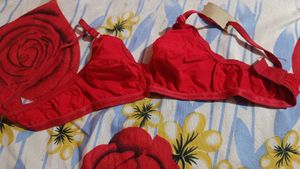 Daily Wear Bra ❤️❤️