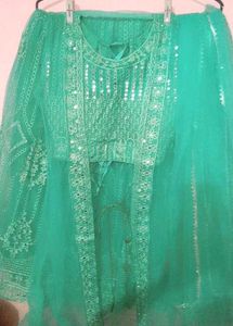 Elegant lite green 🦠 Embellished Lehenga Choli
