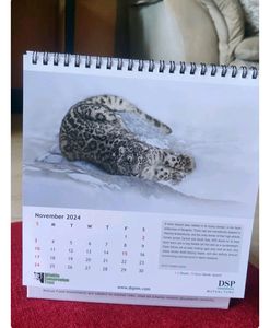 2024 Calendar For Animal Lovers