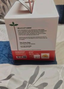 Elegant Dahila Flower Grow Kit