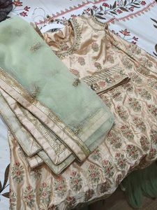 Elegant Lehenga Choli Set