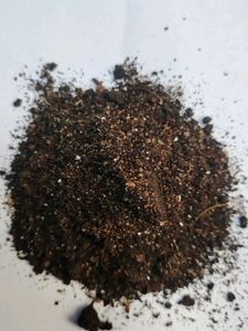 Succulent Pot Mix 250 grams