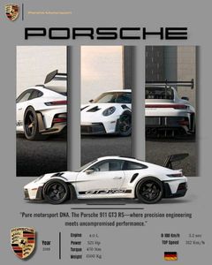 Porsche 911 GT3 RS Poster