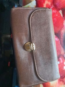 Brown Hand Purse