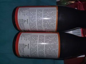 Bodyslim Ras /  2 Ayurvedic Syrup