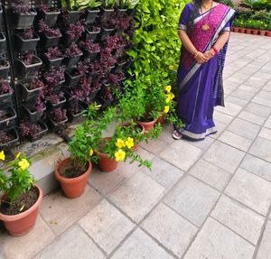 Elegant Purple Saree
