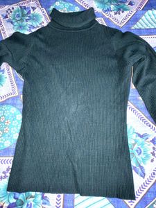 Turtle Neck Top