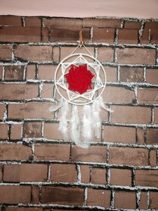 Colour Of Love, Peace, Safety